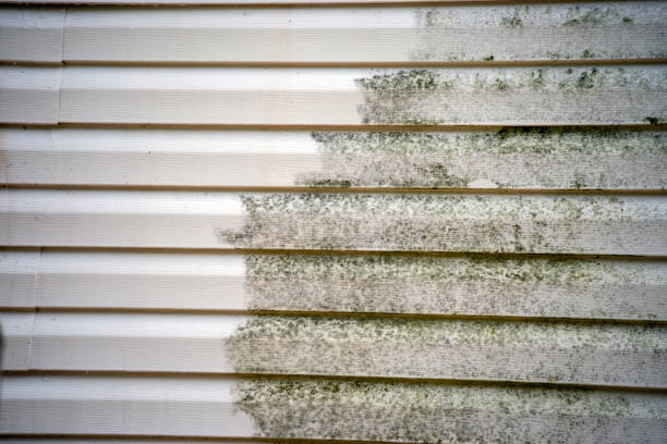 Best Mattress Disposal  in Dravosburg, PA